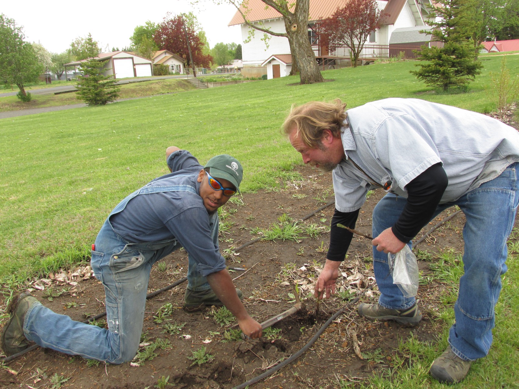 Nezperce celebrates Arbor Day annually by planting trees. 