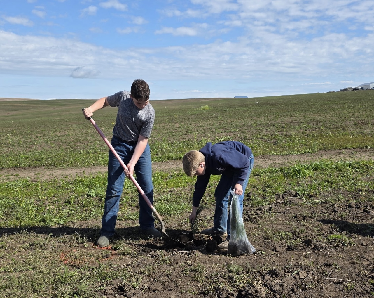 Nezperce High School freshmen helped the City plant trees. Nezperce High School freshmen helped the City plant trees.