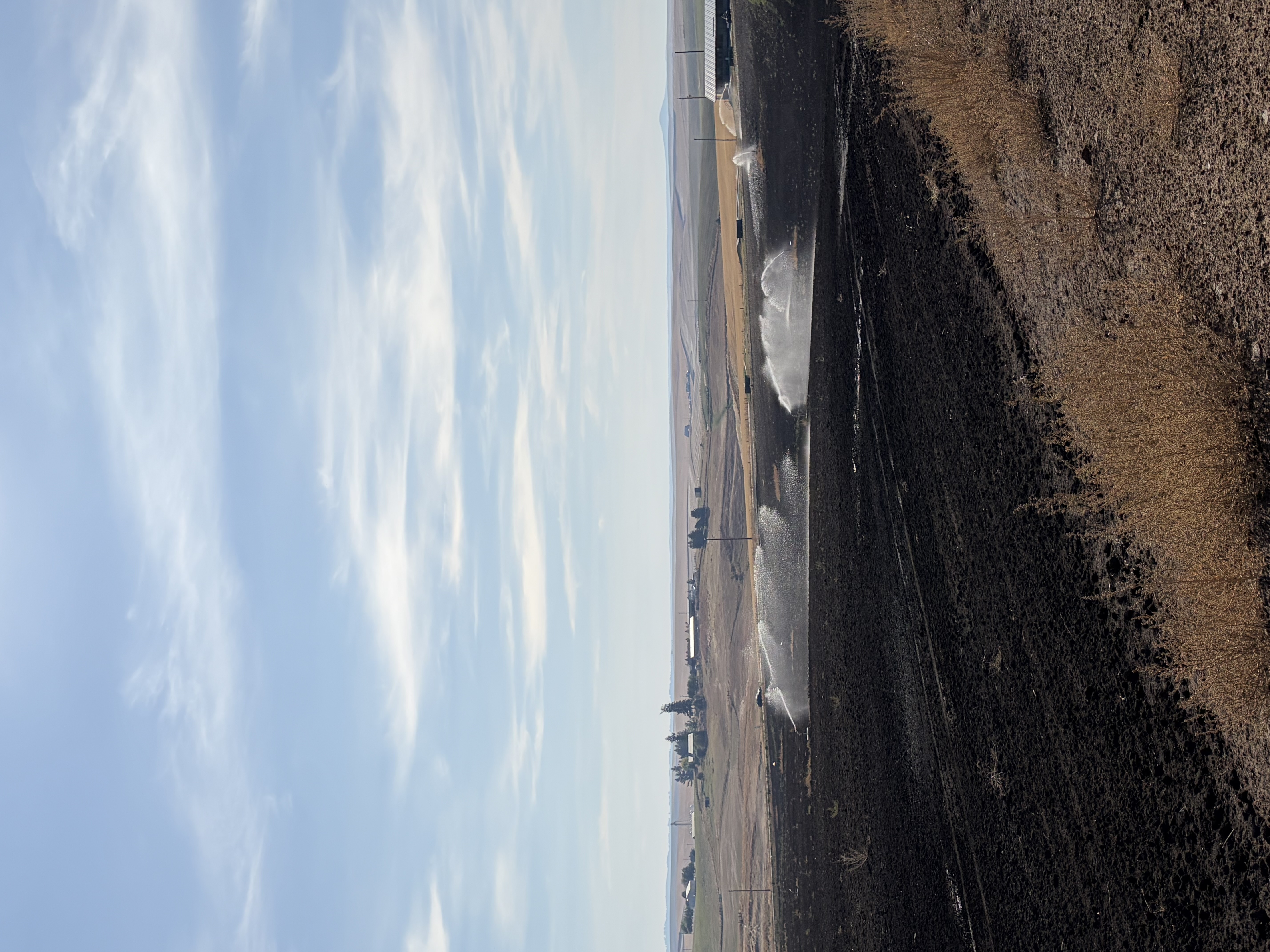 The City of Nezperce's wastewater treatment system is nearly complete. The City of Nezperce's wastewater treatment system is nearly complete.
